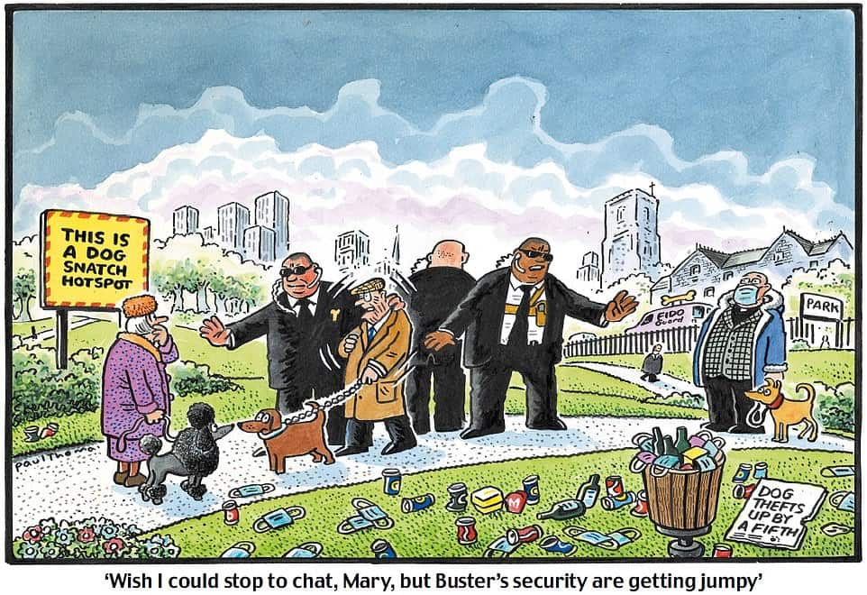 Dog walker with bodyguards cartoon